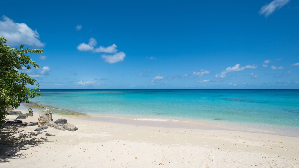 Reeds Bay Villa | Graceville is just across the road from the beach. Easy access to shops.