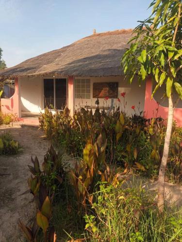 Casamance Resort | Graine de Paradis