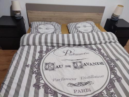 Mirebeau-sur-Beze Apartment | Grand Appartement chaleureux