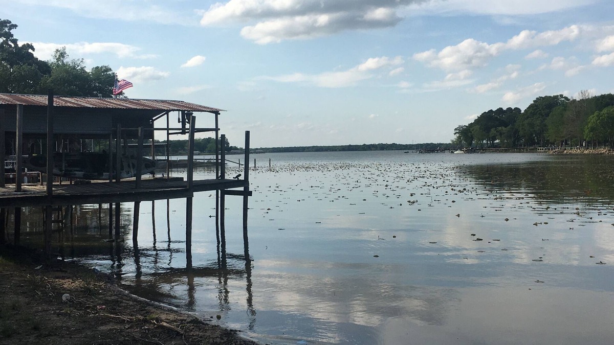 Wills Point Cottage | Grand opening price! Taste Authentic Tiny Living on the beautiful Lake