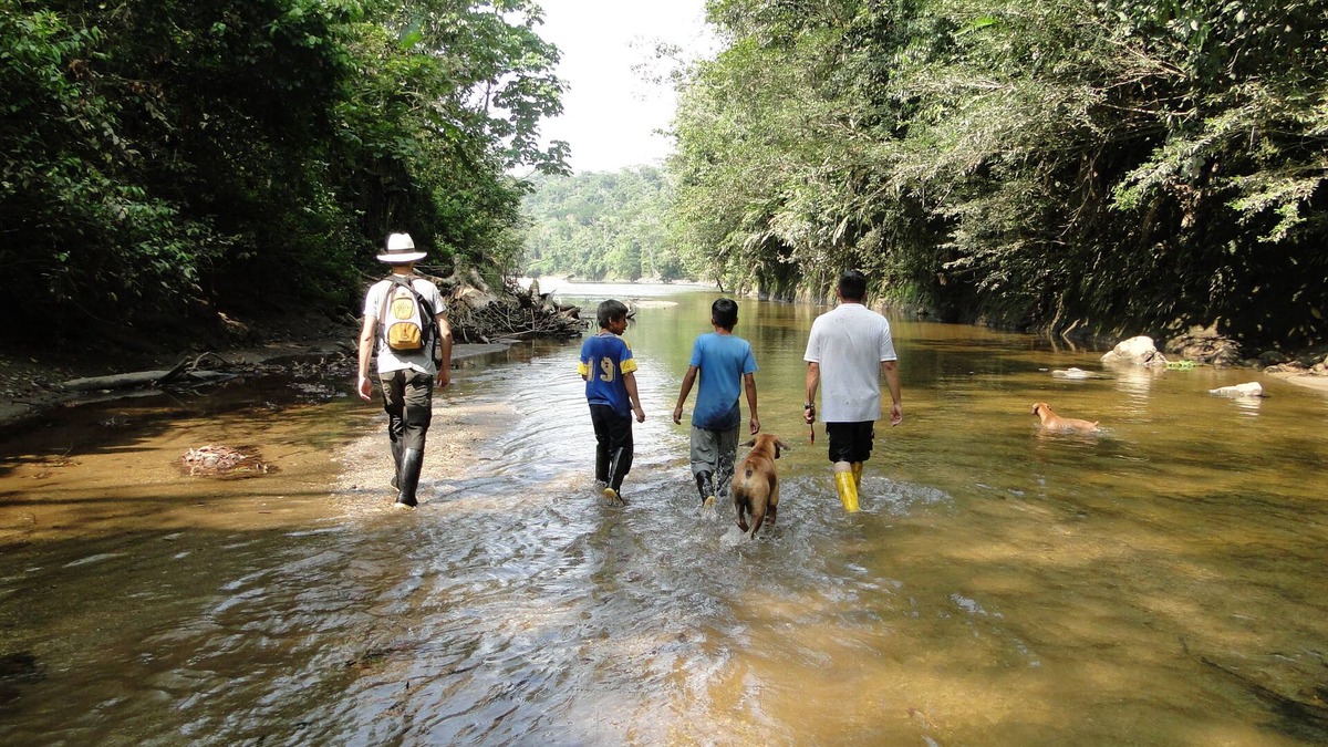 Ahuano Hotel | GRAND SELVA LODGE & TOURS