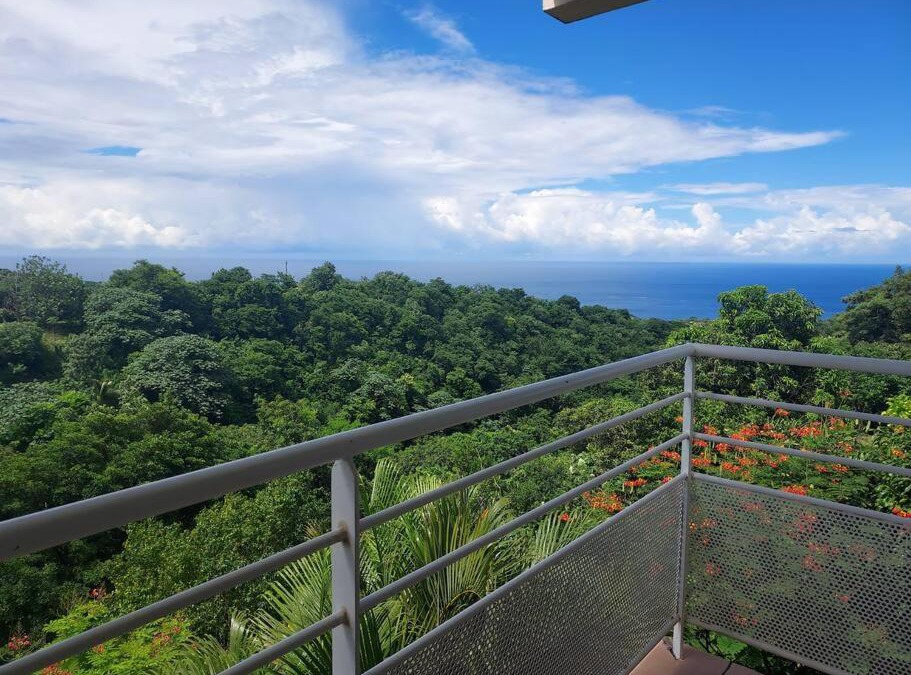 Le Carbet Apartment | grand studio en bas de villa avec vue sur mer au Carbet