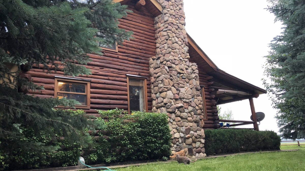 Tetonia Cabin | Grand Teton View Rustic Cabin in the Woods