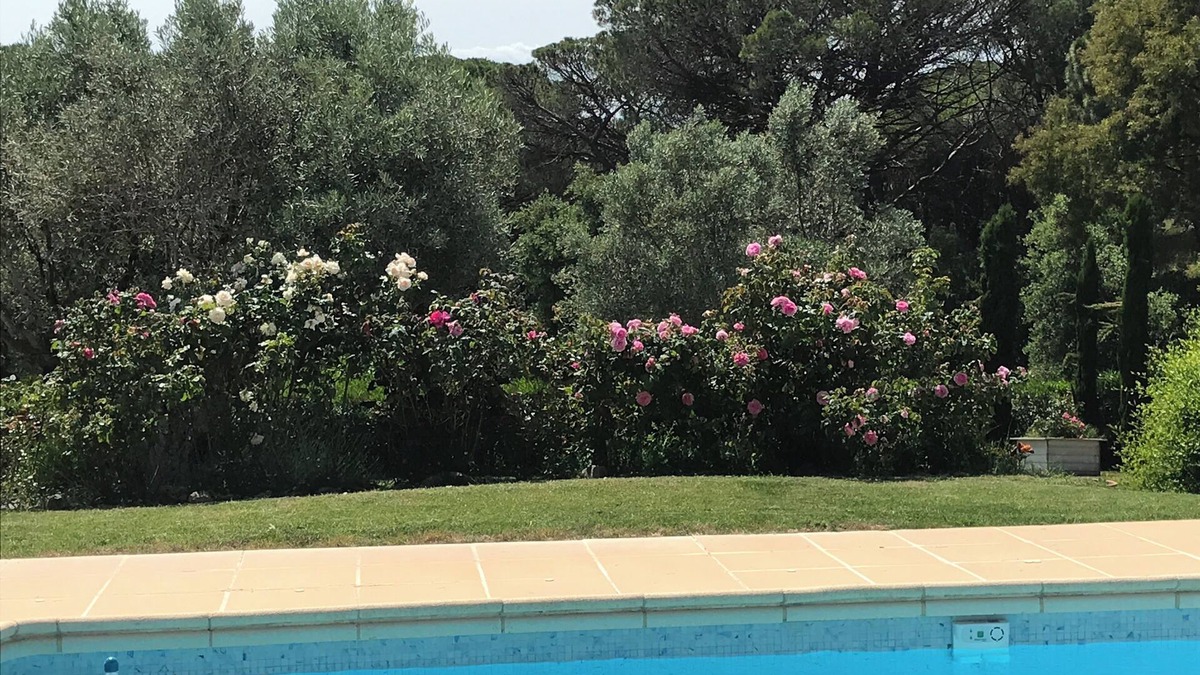 Valescure House | Grande Maison de Famille Entre Estérel et mer