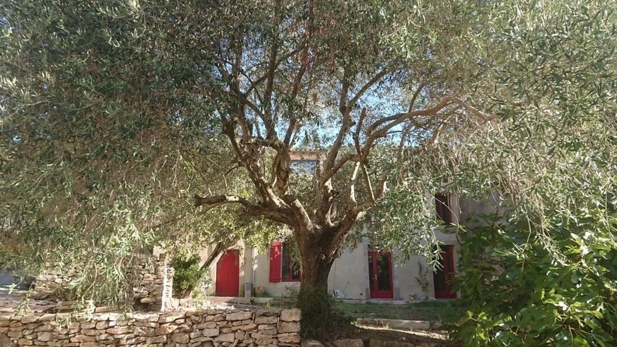 Montlaur House | Grande Maison Familiale en Pays Cathare