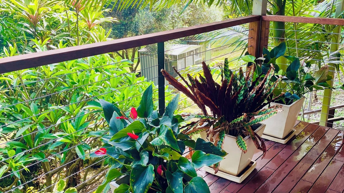 Tallai Apartment | Grandview Retreat, Hinterland Self Contained Apartment