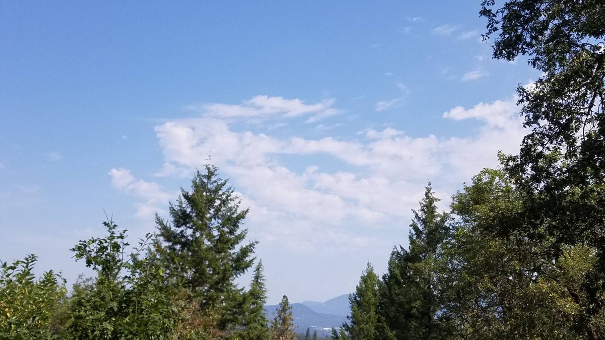 Murphy Cottage | Grants Pass Hillside Retreat w/View Mins from Everything