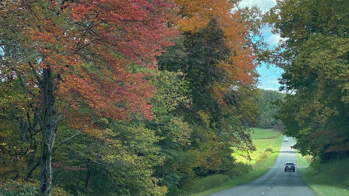 Dan River Cabin | Gratitude View - Leaf Peepers ~ October is waiting. Don't wait