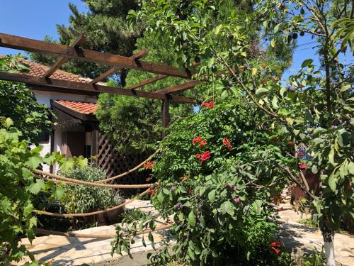 Vadu House | Grauri si Smochini