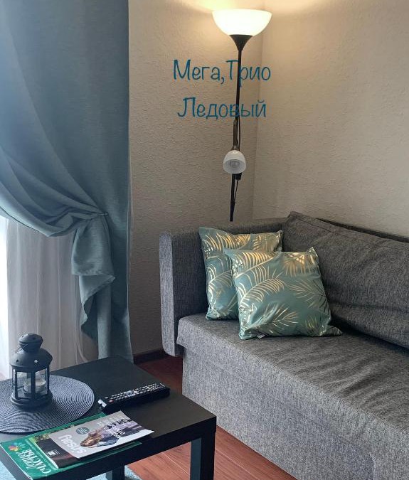 Vitebsk Apartment | Gray Apartment Pobedy 21