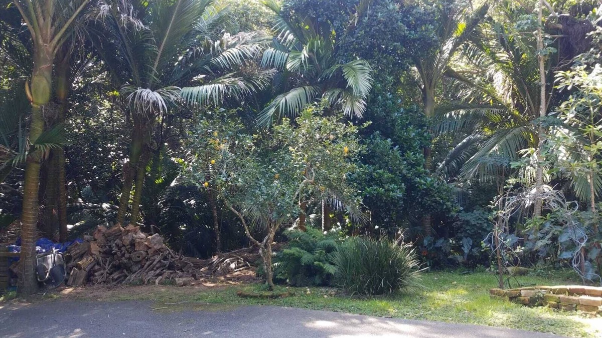 Tryphena Bed & Breakfast | Great Barrier Island Escape-Book a Room or whole House