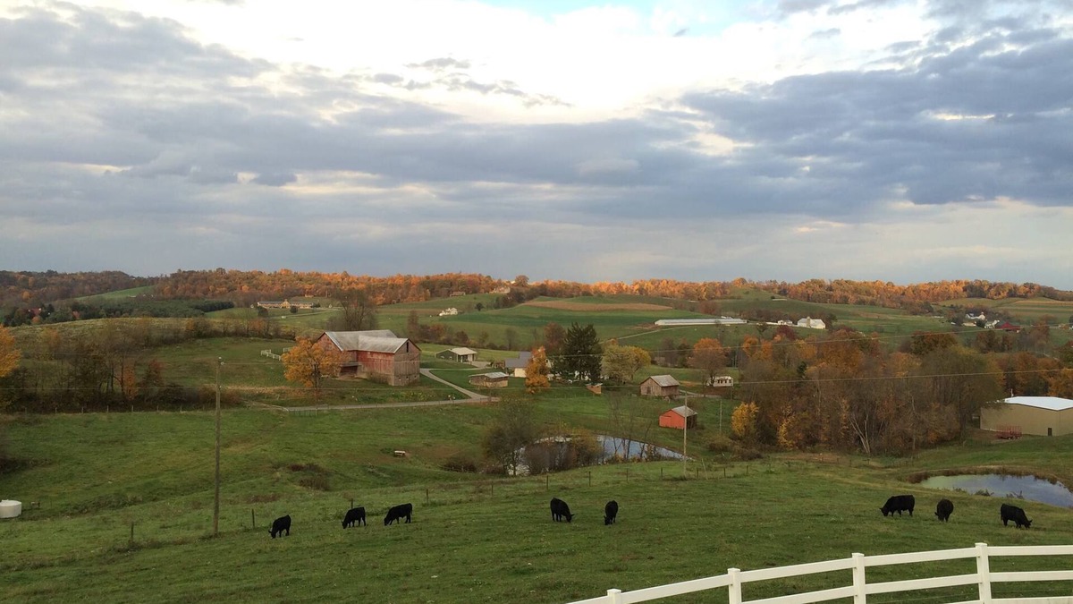 Millersburg House | Great for Friends & Families, Breathtaking View, Nature Trails, Farm Animals