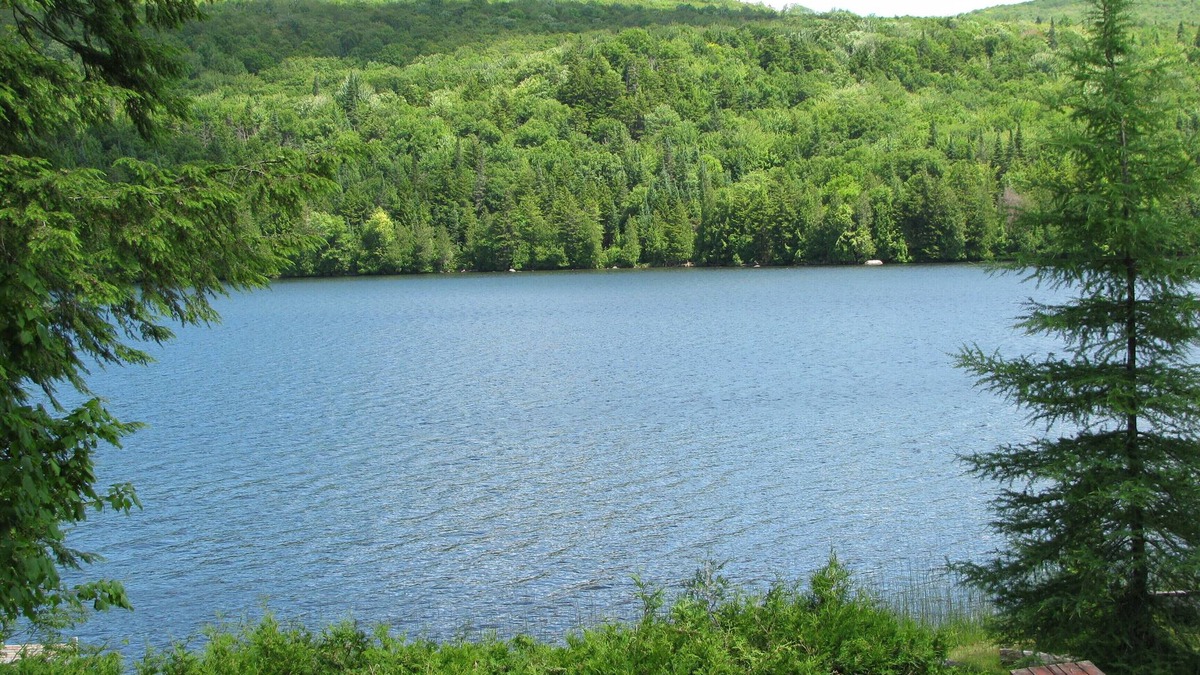 Newark Cabin | Great For Time Alone! Waterfront Cabin - Well Behaved Dogs Welcome. Go Lakeside!