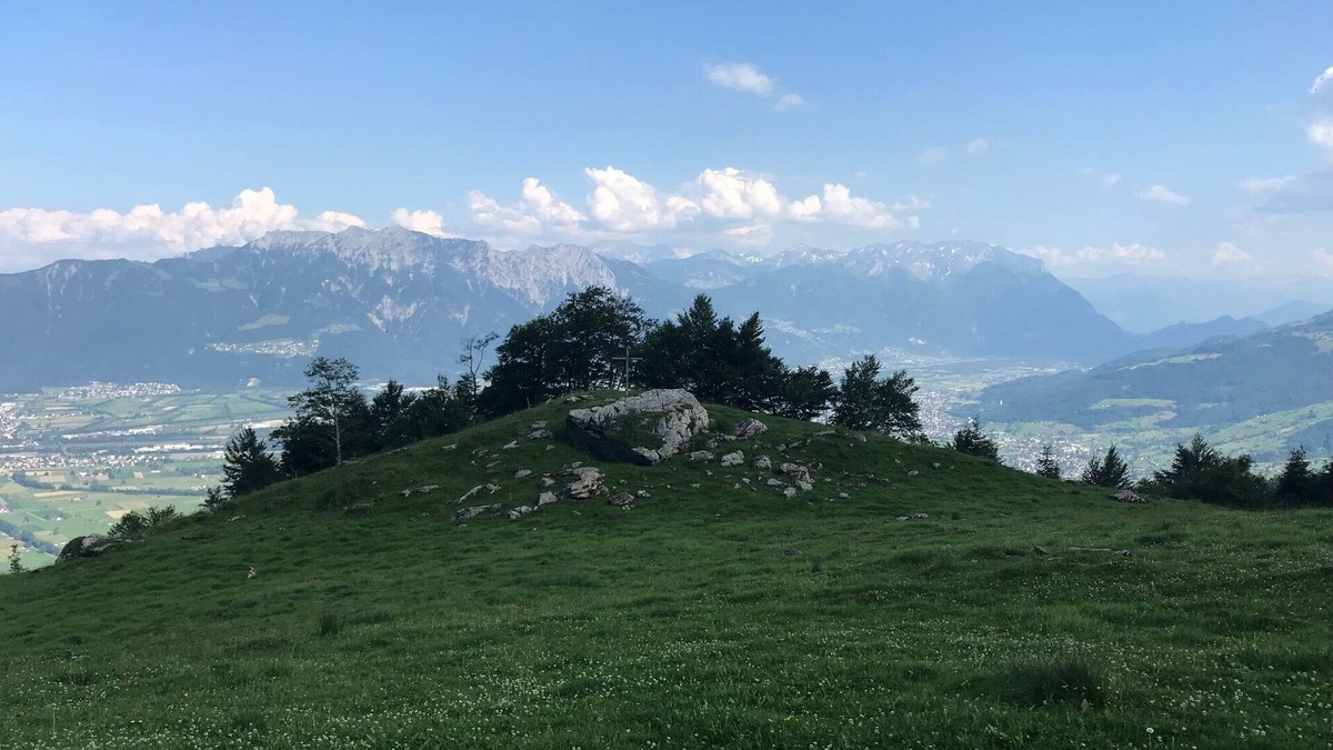 Gams Apartment | Great mountain view over the valley of Lichtenstein, apartment on the slope