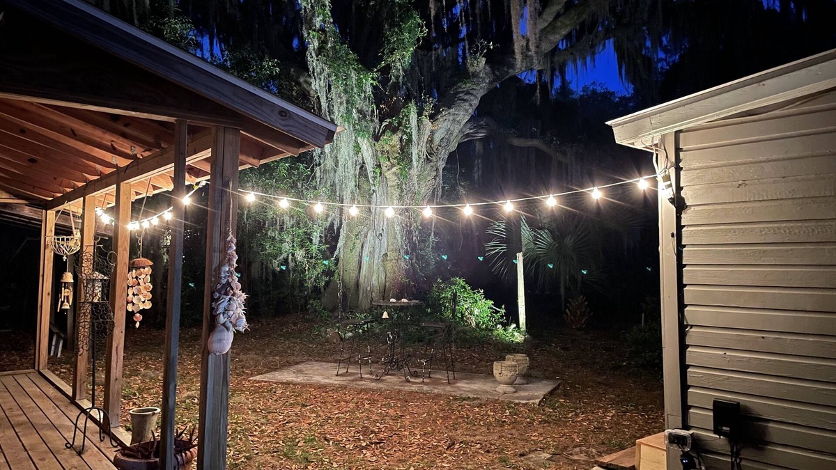 Darien Cabin | Great One Room with Full Bath Guest House!
