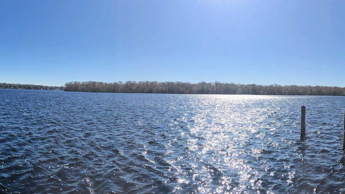 Welaka House | Great Place for a Fishing Excursion or a Tranquil, Relaxing Getaway!