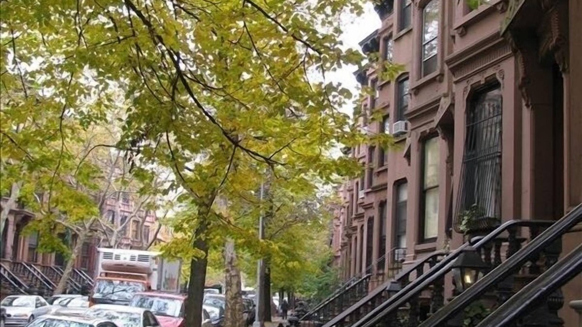 Park Slope Apartment | Great Place to Stay in Park Slope