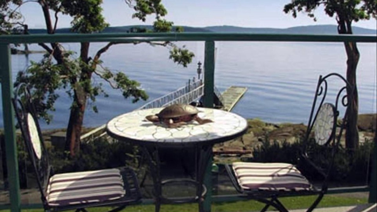 North Oyster House | Great Price ! Oceanfront , outdoor pool & hot tub Fall SPECIAL 155.00 a night