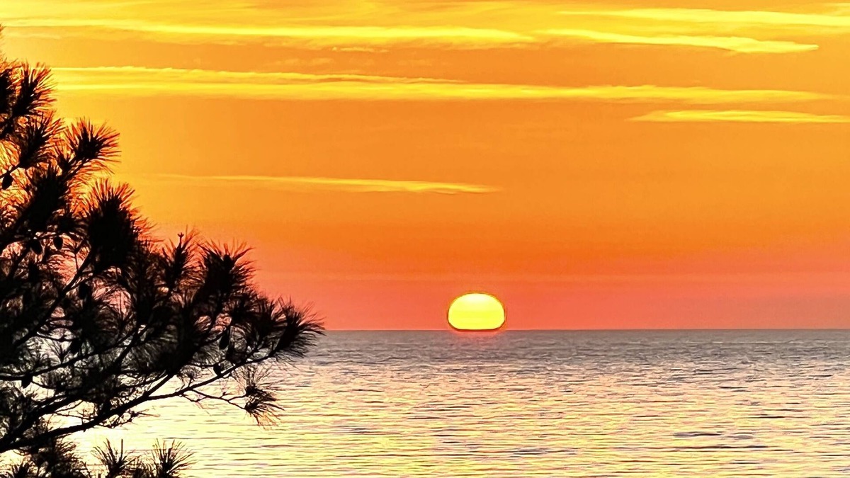 Alligator Point House | Great sunrise view from dining area and decks. Easy beach access.