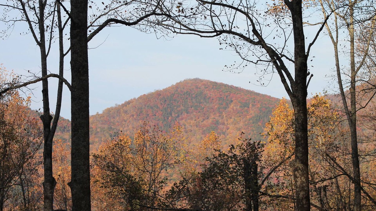 Walnut Mountain Cabin | Great Vacation Home In Ellijay
