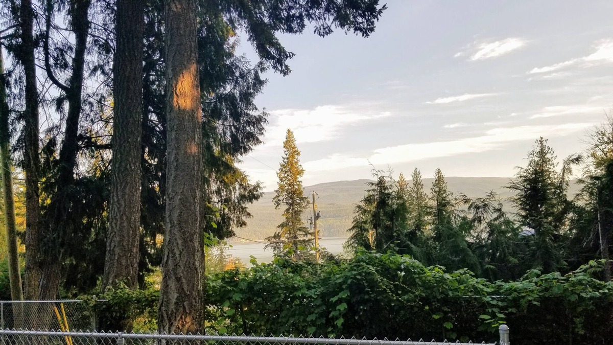 Anglemont House | Great view !! Grape Vine Near The Lake a must see .