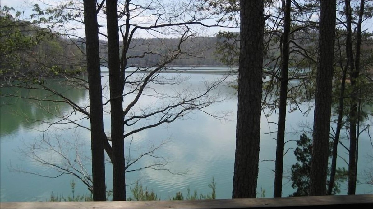 Big Creek Cabin | Great Views and close to the water. Book you Fall trip now. The lake is amazing.