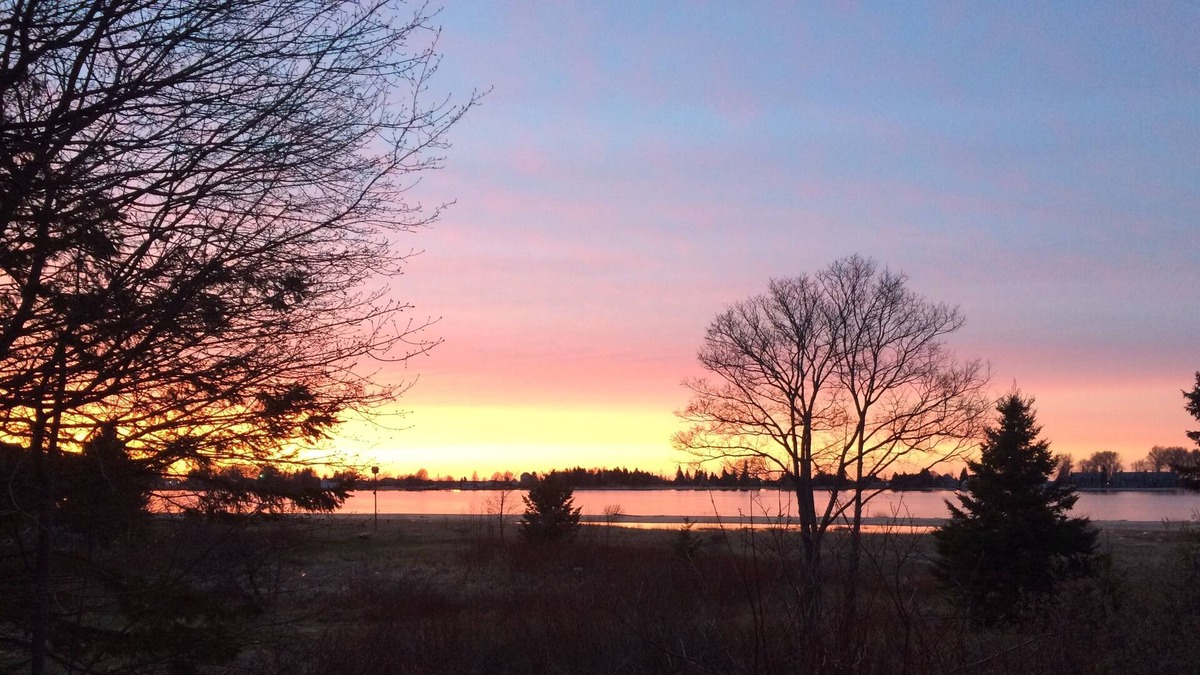 Grand Marais Cabin | Great Views of the Bay and Lighthouse!!! (Open Four Seasons)