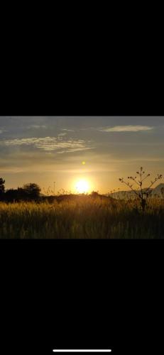 Kocasinan Other | Green farm Camping
