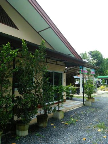 Khuan Khanun House | Green Happy Homestay