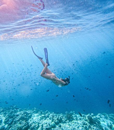 Omadhoo House | Green Leaf Guest House - Omadhoo