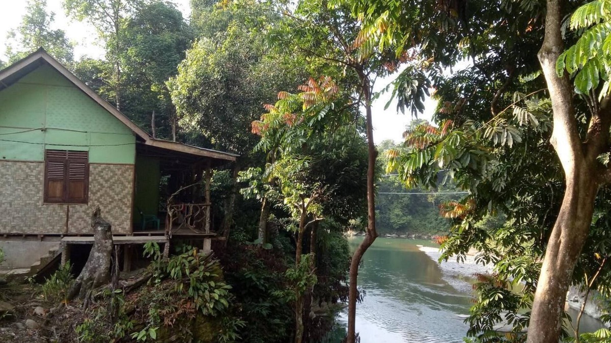 Batang Serangan Bed & Breakfast | Green Lodge Tangkahan