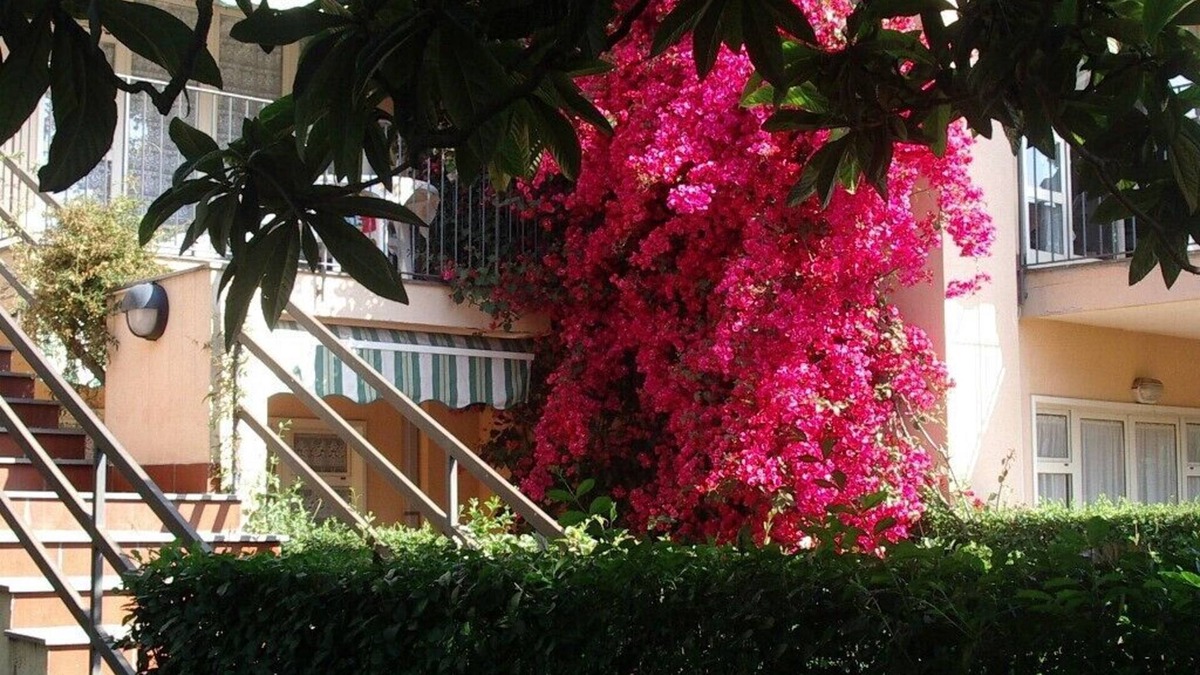 Fiumefreddo di Sicilia Apartment | GREEN OASIS, IN A PRIVATE RESIDENCE, JAST 150 m. FROM THE BEACH