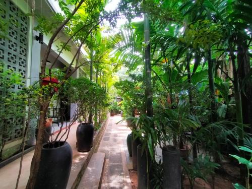Sangkat Sla Kram Bed & Breakfast | Green Stay Village