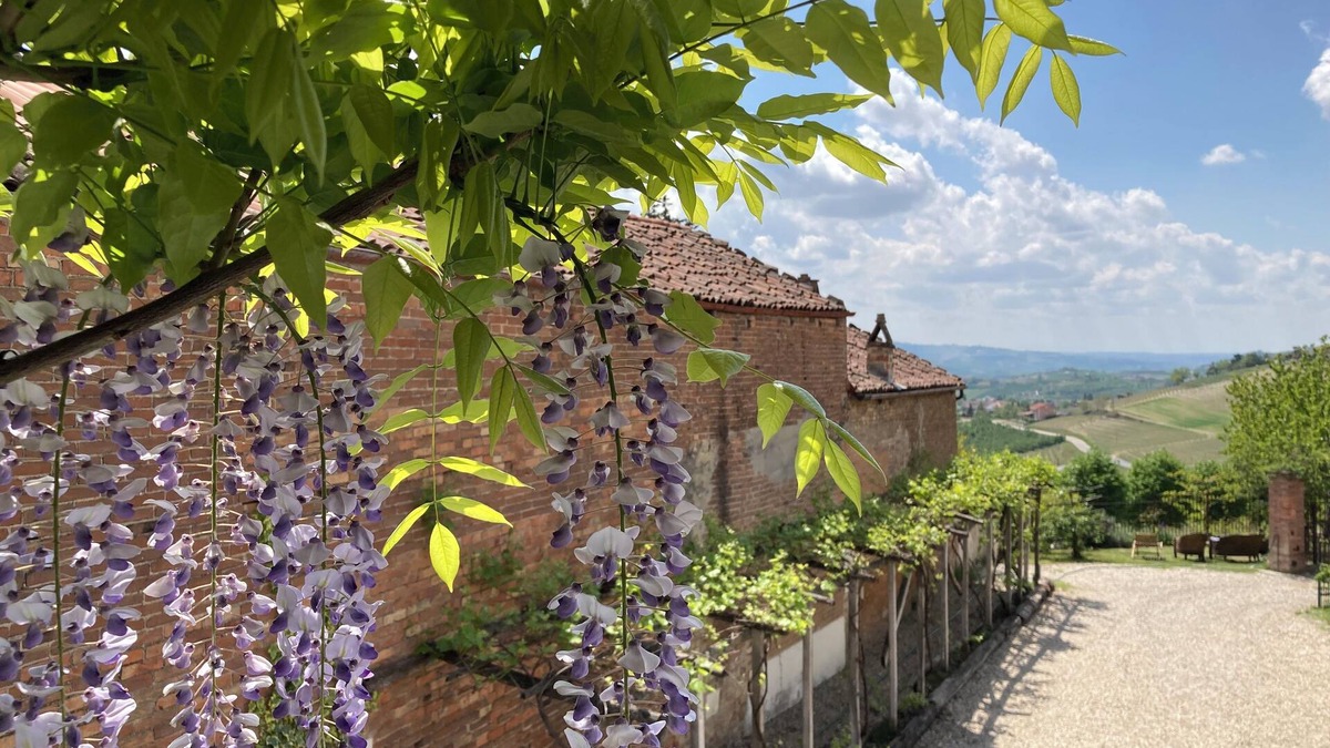 Guarene Bed & Breakfast | Greeneria