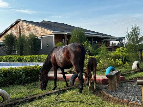 Uasin Gishu Resort | Greenleaf Farm Cottages