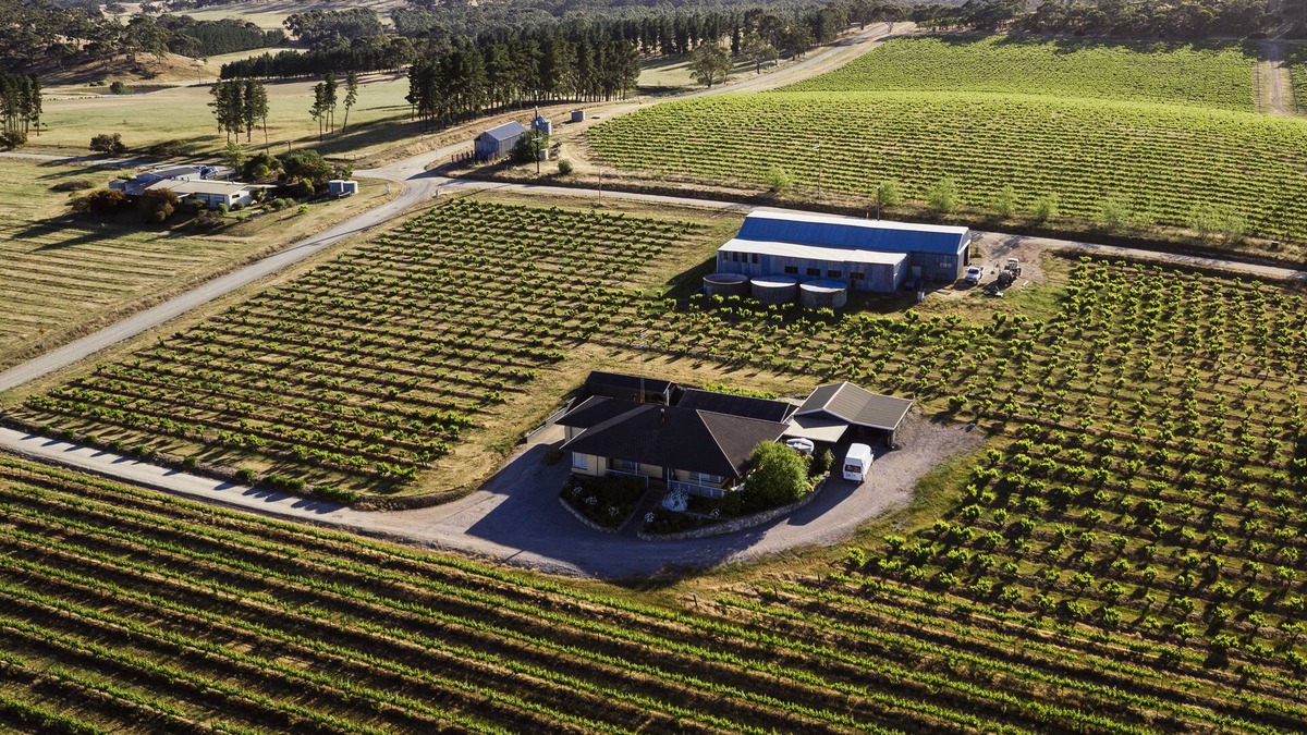 Stanley Flat House | Grenache House - Beautiful vineyard views, only 5 minutes drive from Clare.