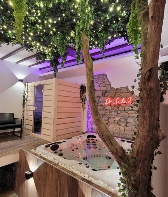 Quartier Chorier-Berriat Hotel | Grenoble LA SUITE 2 spa jaccuzzi et sauna privatif