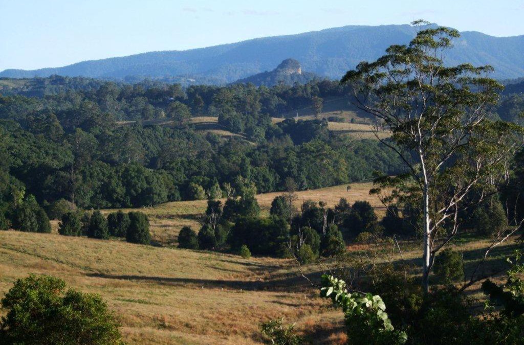 Nimbin House | Grey Gum Lodge
