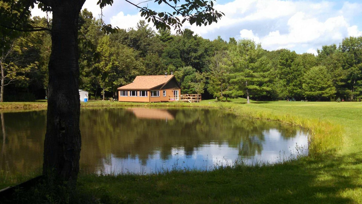 Branchport Cabin | Grey's Getaway Cabin 5 acres, Finger Lake area a little slice of heaven!