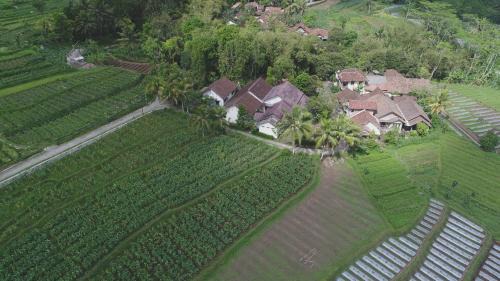 Borobudur House | Griya Harja Homestay