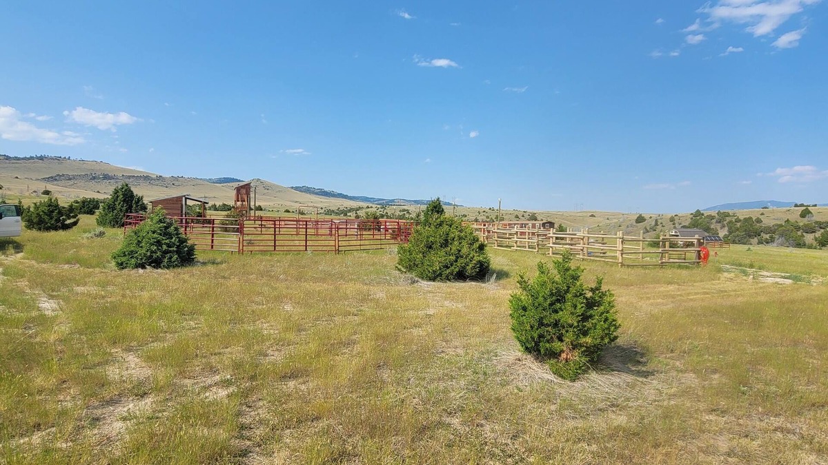 Manhattan Cabin | GRIZZLY ROCK RANCH Rustic Tiny Log Cabin Glamping and Horseback Riding Available