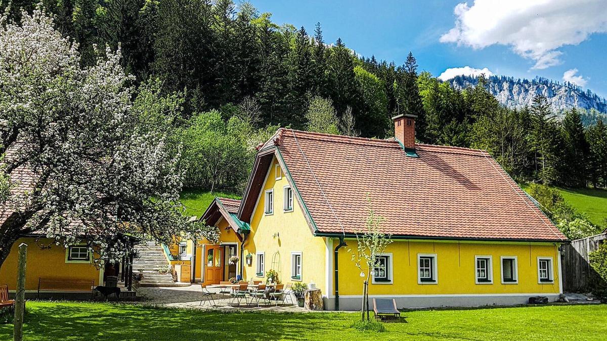 Muerzsteg House | großes Ferienhaus Muerzsteg