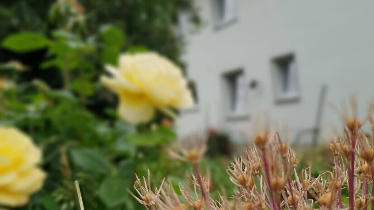 Vierbach House | Group accommodation for nice meetings with friends, family and friends