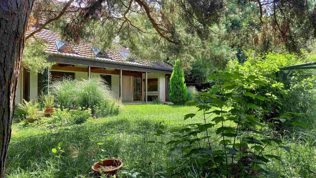 Aesch House | Gruppenunterkunft in schöner Villa, naturnah, mit Sauna
