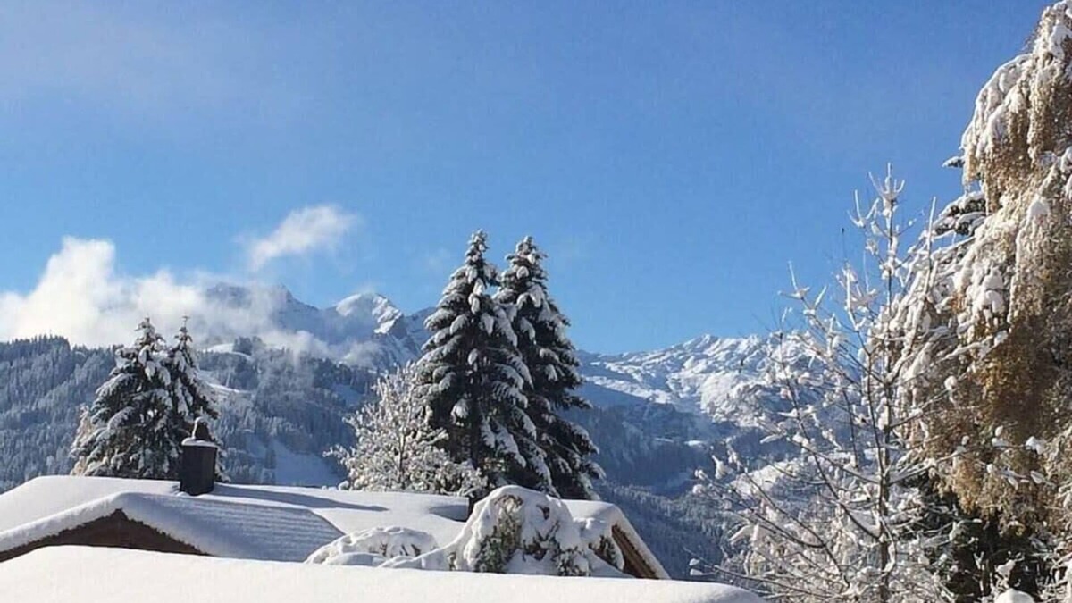 Schoenried Apartment | Gstaad - Luxury Flat in Schonried with Great Views