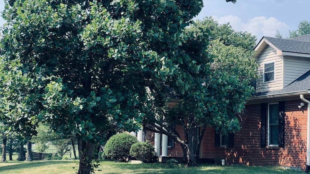 Paris Other | Guest Home on Historic Horse Farm