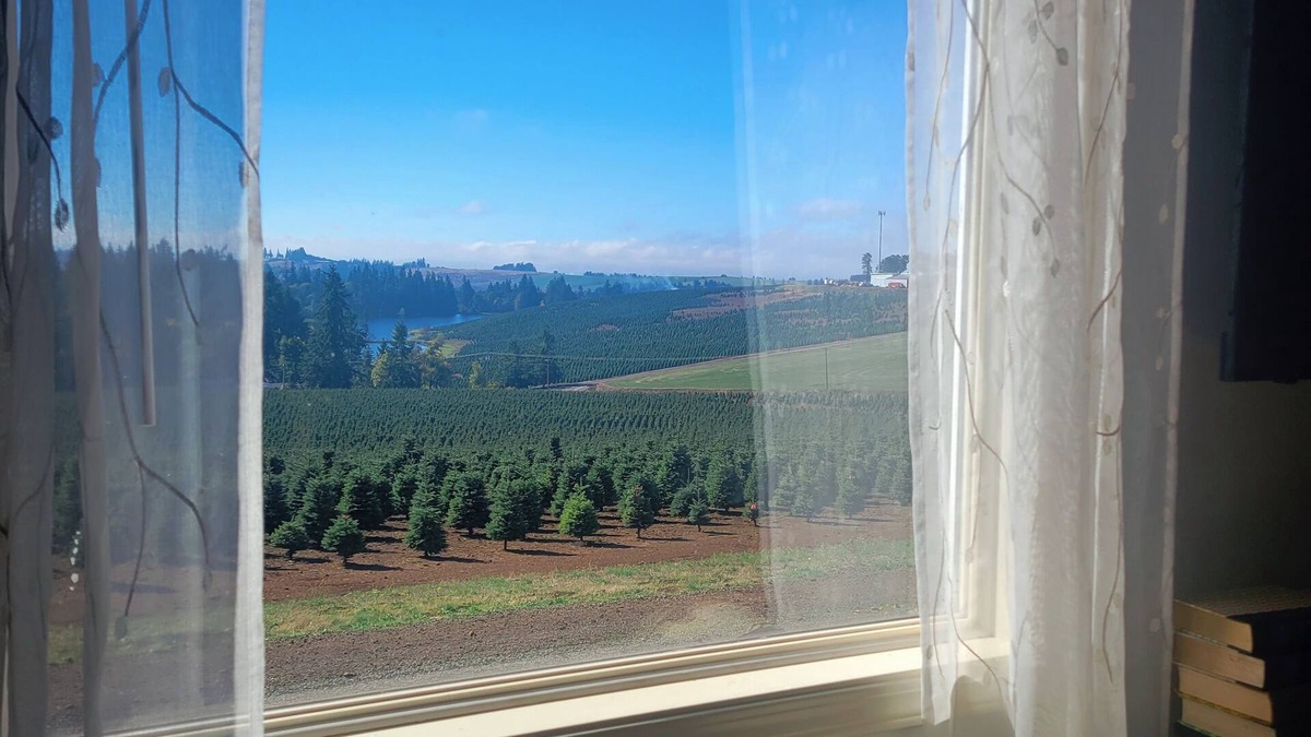 Silverton Other | Guest House at Buena Vista Lavender Farm