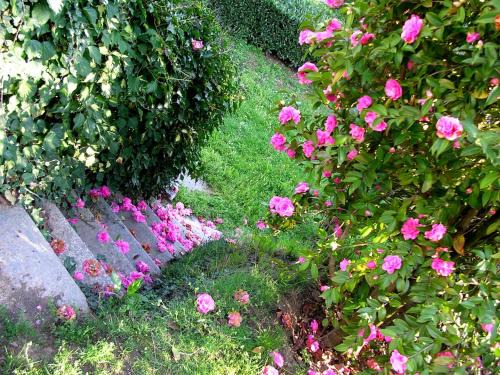 Thes Bed & Breakfast | Guest house Cascina Belsito