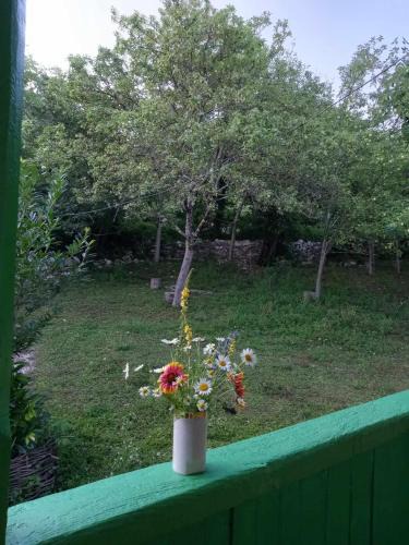 Zeda Gordi House | Guest House Guliada
