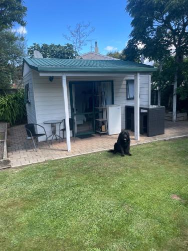 Nelson Apartment | Guest house in Tahunanui